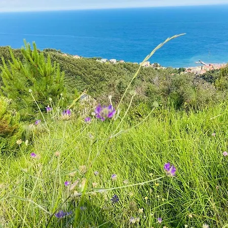 Incantevole Sul Mare * Laigueglia